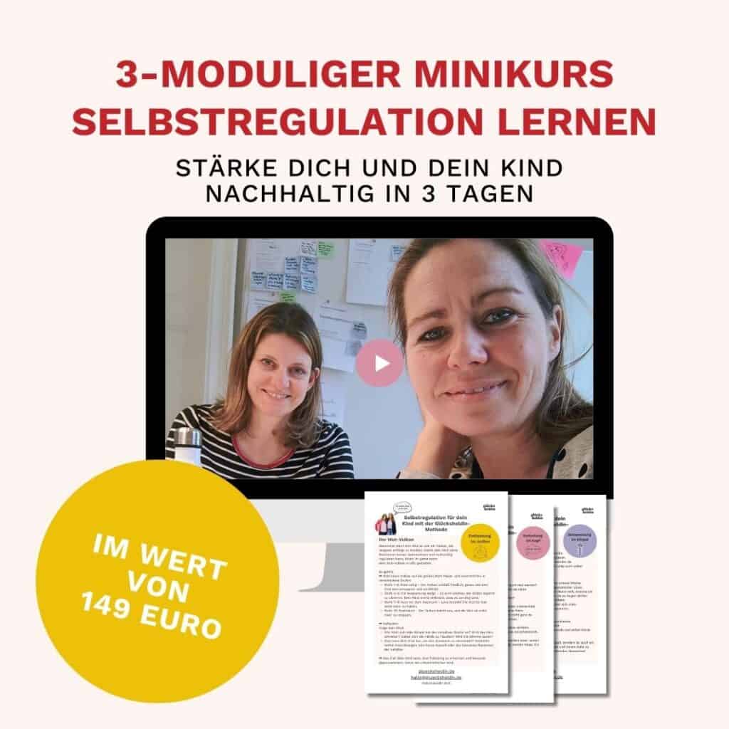 Minikurs Selbstregulation lernen